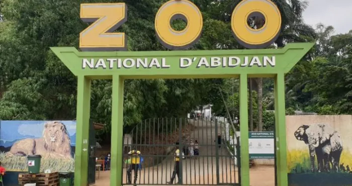 gestion-mauvais-etat-des-lieux-animaux-mal-nourris-letat-annonce-la-renaissance-du-zoo-dabidjan